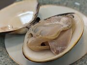 sora69jp̑NZ^[猒Nف@܂̓eʐ^2