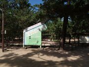 Ђł񂳂̒Óc̏E՗ь̓eʐ^1