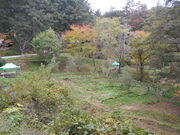 gV[݂̂ǂΐmԌ̓eʐ^1