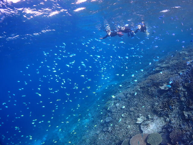 ���̐��ɋ����܂���_�O���[�r�[�u���[