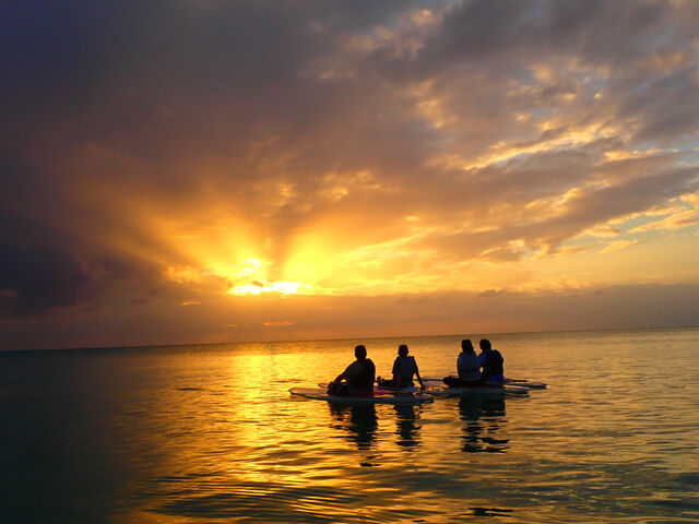 �f�W�J���̎ʐ^_�}�����A�N�e�B�r�e�BSAM