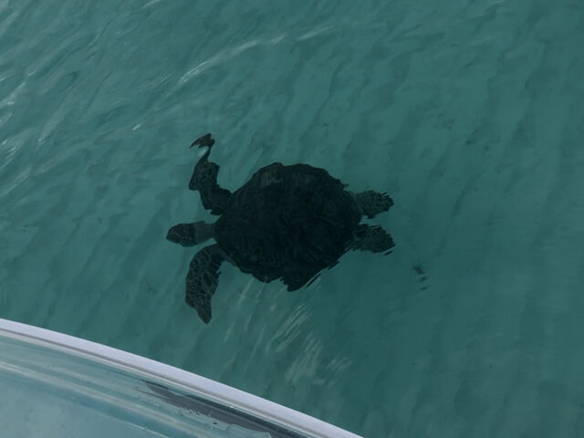 �E�~�K���������j���ł����܂���_�}�����A�N�e�B�r�e�BSAM