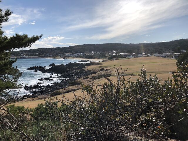 �퍷�C�ݓ���_�퍷�C�݃C���t�H���[�V�����Z���^�[