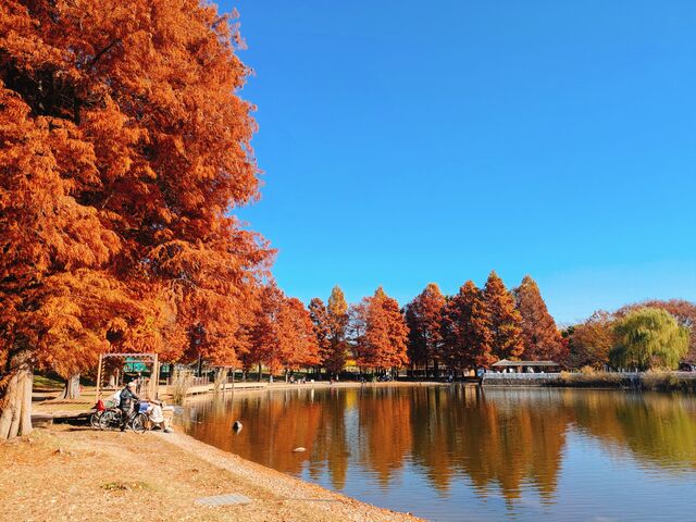 ������̍g�t�X�|�b�g�B�H�̎ɐl�����B_�ɐl����