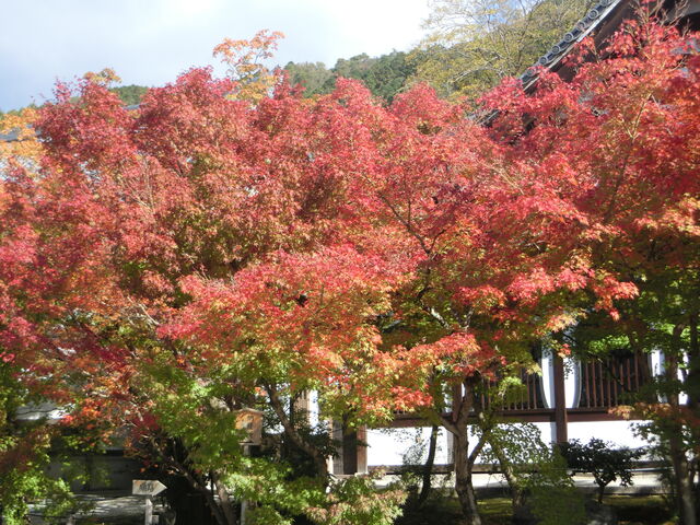 񂳂NAKED̐{莛2024 H̓ʌJ̓eʐ^1