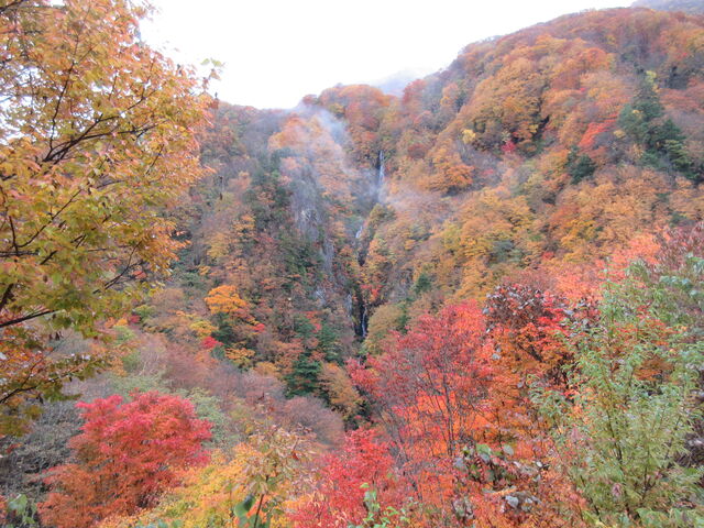 ������񂳂�̗���E����̍g�t�̓��e�ʐ^5