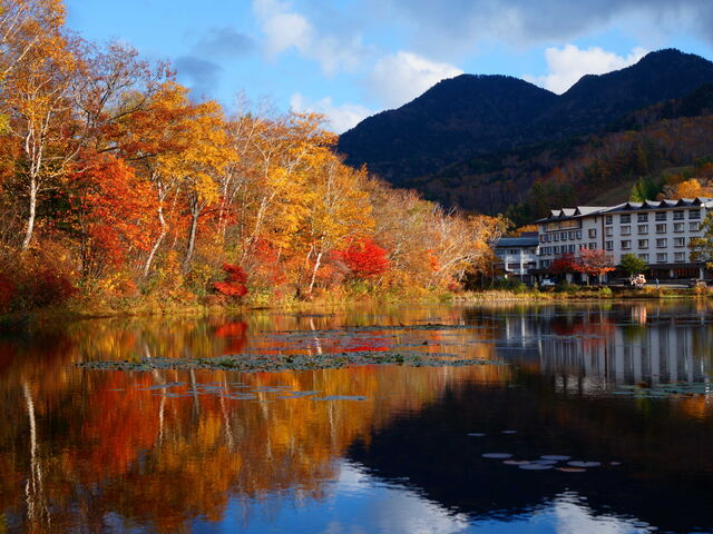 �[��ꎞ�̐��ʂɉf��g�t_�@�r