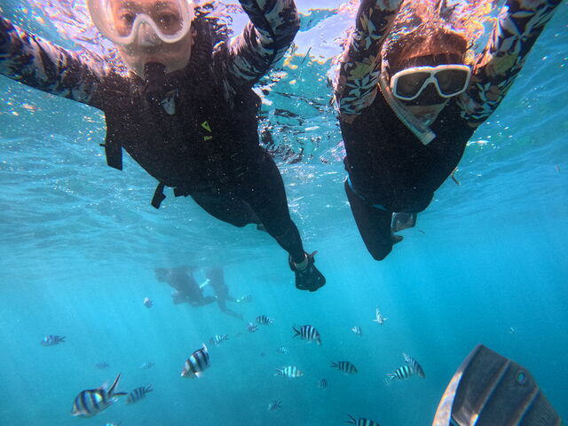 ��R�̎ʐ^���肪�Ƃ��������܂����I_CHILL DIVE