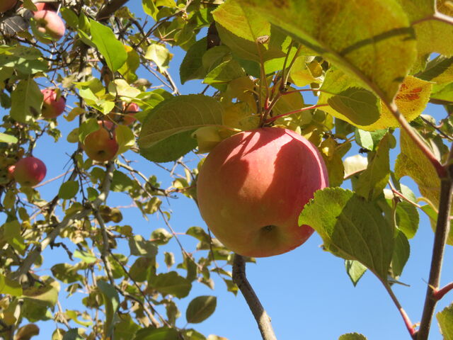 ���i_�V�����_��