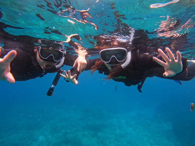 �V���m�[�P�����O�ł������A���S���Ȃ��f�l�ł��y���߂܂����B�E�F�b�g�X�[�c�����N�тŒg�����ł��B_South Blue