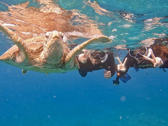 �E�~�K�������シ��^�C�~���O�ɍ��킹�Ďʐ^���B���Ă��炢�܂����I_South Blue