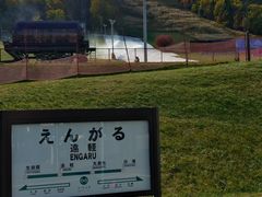 ̉w y X̃Iz[cN̎ʐ^1