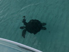 ã}ANeBreBSAMւ̓eʐ^3