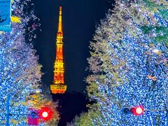 ₫C~l[VuSNOWBLUEv̎ʐ^1