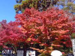 ����������̉~�o���ւ̓��e�ʐ^1