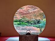 ����������̕��� (�����@�j�̓��e�ʐ^1