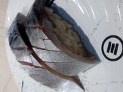 K2����̊C�N�O��` ���˃��X�J�X�̓��e�ʐ^4