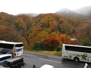 ������񂳂�̔���W�]��̓��e�ʐ^2