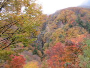 ������񂳂�̔���̓��e�ʐ^1