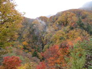 ������񂳂�̔���̓��e�ʐ^2