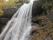 ������񂳂�̗���E����̍g�t�̓��e�ʐ^3