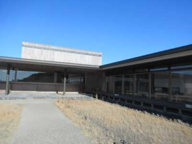 �{�����O��_VISON �{����