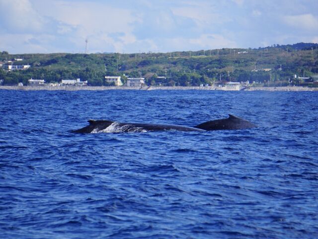 �U�g�E�N�W��_TRY ANGLE