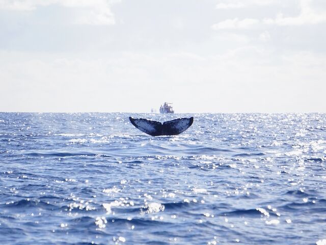 �U�g�E�N�W�� _TRY ANGLE