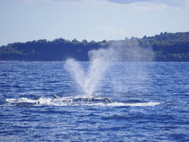 �U�g�E�N�W��_TRY ANGLE