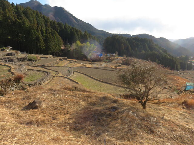 �Ă�������̐݊y���i�g���^��Q���_���̓��e�ʐ^3