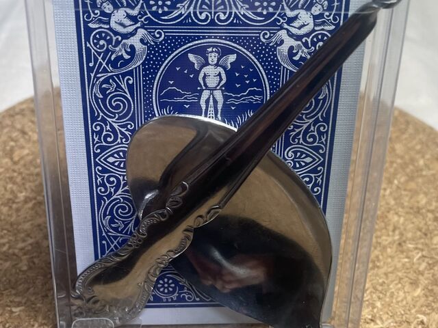 �X�v�[���ɂ̓T�C���ƔO�͓���ł����I���肪�Ƃ��������܂����B_�T���^�̋x�� �l�����V�A�^�[&�}�W�b�N�V���b�v