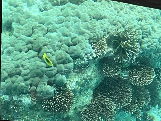 �Y��ȎX��ƃJ���t���Ȃ�������R����܂����I_�C�M�}����