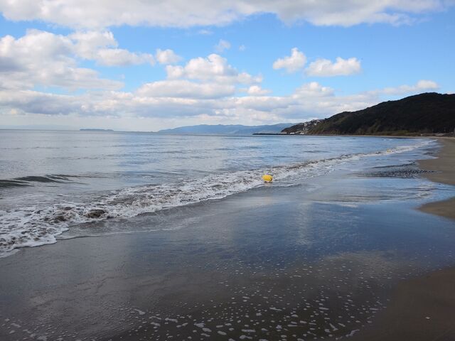 ���ꂢ�ȍ��l�B_��̉Y�C������