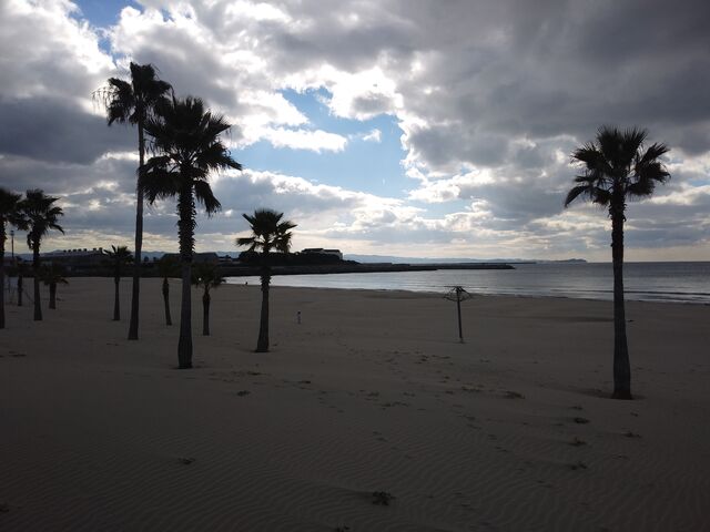 ���V�H�̖؂��썑�̕��͋C�B_��̉Y�C������