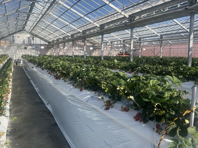 �܂����ɓ������炢�����̍�����y����ŗ~�����ł��B�K���ɂȂ�܂��B_�����t�@�[��