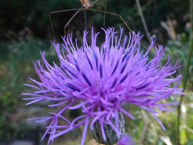 �^�����\�E_��E����