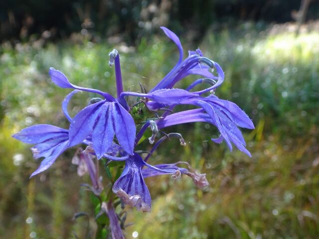 �T���M�L���E�H_��E����