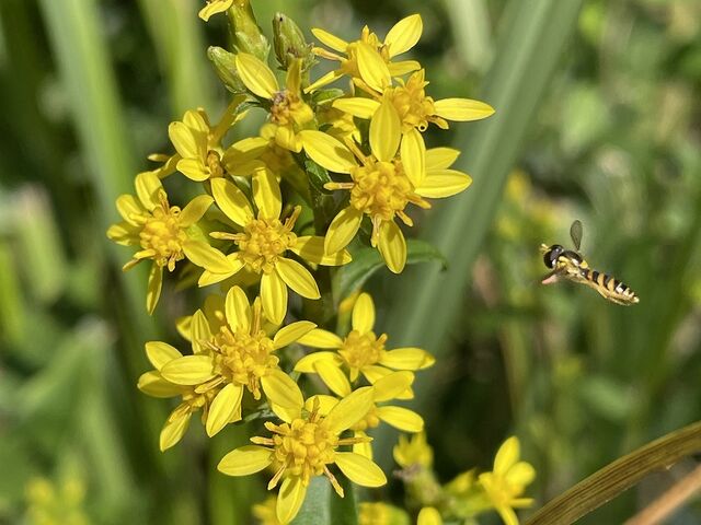 �A�L�m�L�����\�E_��E����