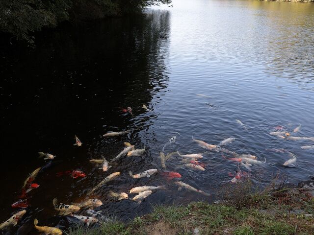 ��E�̖��̒ʂ�A���ߒr�Ɍ�������񂢂܂����B_��E����