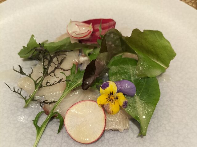 �I�[�h�u��
�u���̃J���p�b�`��_�U����C�r�A�{��