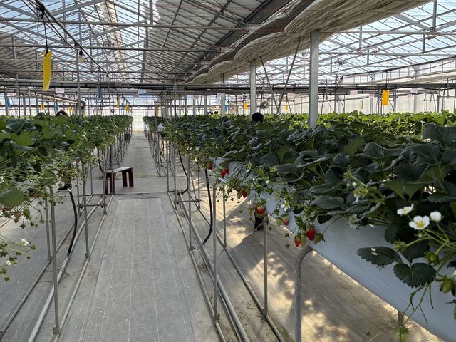 �����ĐH�ׂ���̂łƂĂ��y�ł��I_�����݂̗��������̉�