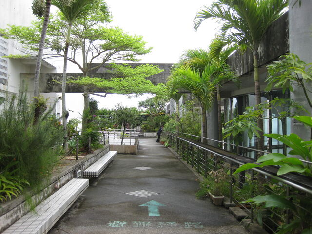 �f�p�[�g�̉���K�[�f����_�p���b�g������