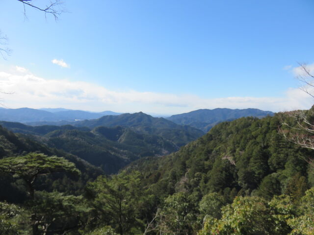 �P�����R