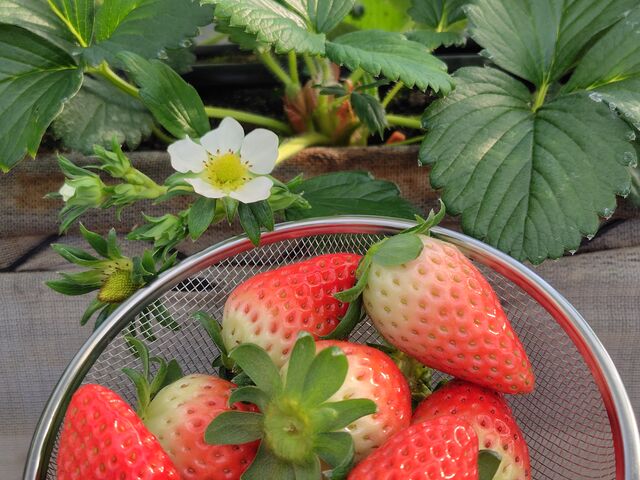 �Â��I�����Z���I_���c�_��