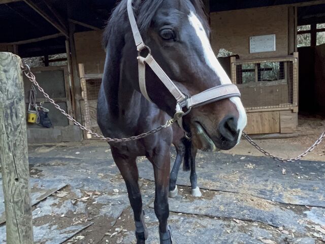 �n�̃��u�����_OISO�@��n�@�N���u