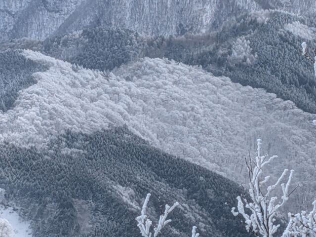 �ӂ��ʂ͐�Ɩ��X�̔���̕ʐ��E�I_�G�o�[�O���[��