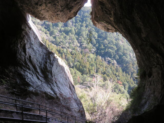 �Ă�������̓���̓��e�ʐ^1