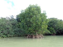 �ꕶ�g���C�u�X�̎ʐ^4