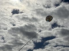 �݂��ҁ[�����HB marine okinawa�ւ̓��e�ʐ^1