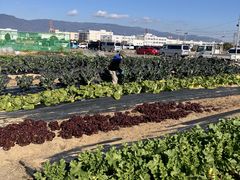 ������������̐_�˃|�[�g�A�C�����h��������_���̓��e�ʐ^1